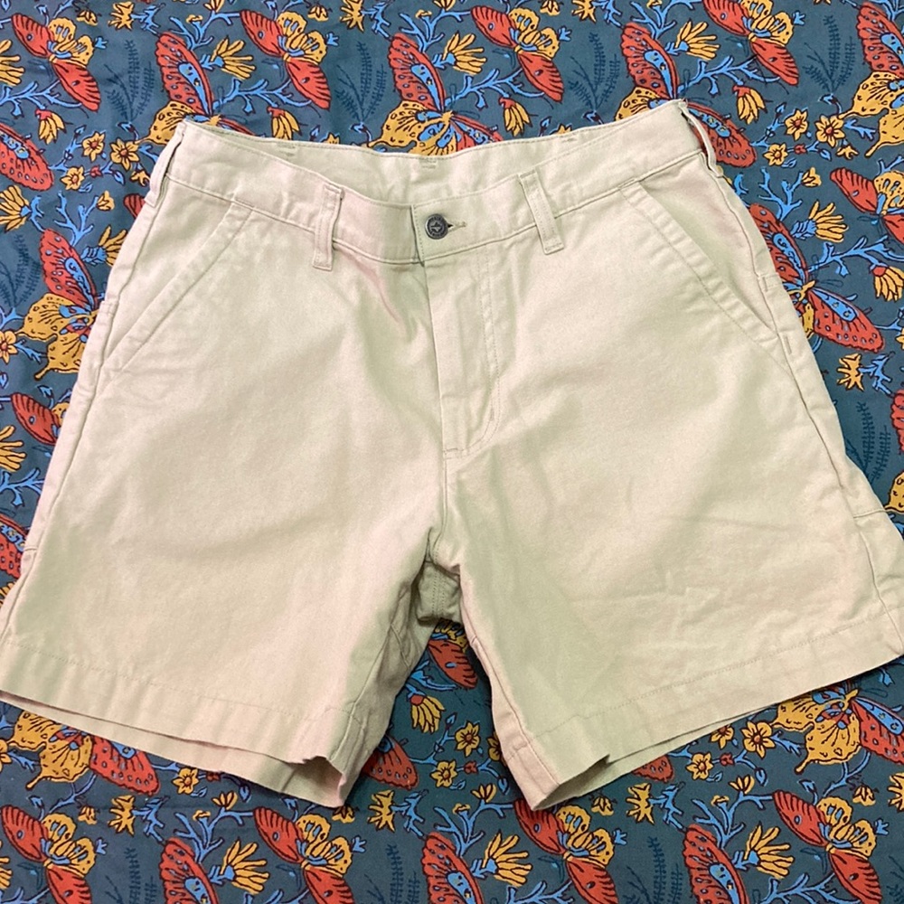Men’s Organic Cotton Patagonia Shorts